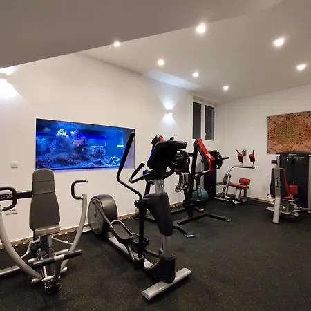 Villa Wellness Biocrystal With Heated Indoor Pool, Private Spa, Tennis Court And Fitness